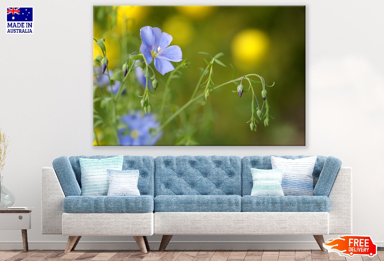 Blue Flax Flower Closeup Photograph Print 100% Australian Made
