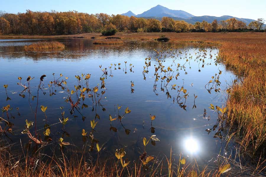 Dry Grass on Lake Photograph Print 100% Australian Made