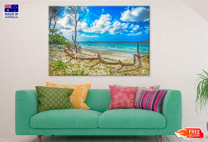 Tree Trunk in Maria Pia Beach Photograph Print 100% Australian Made