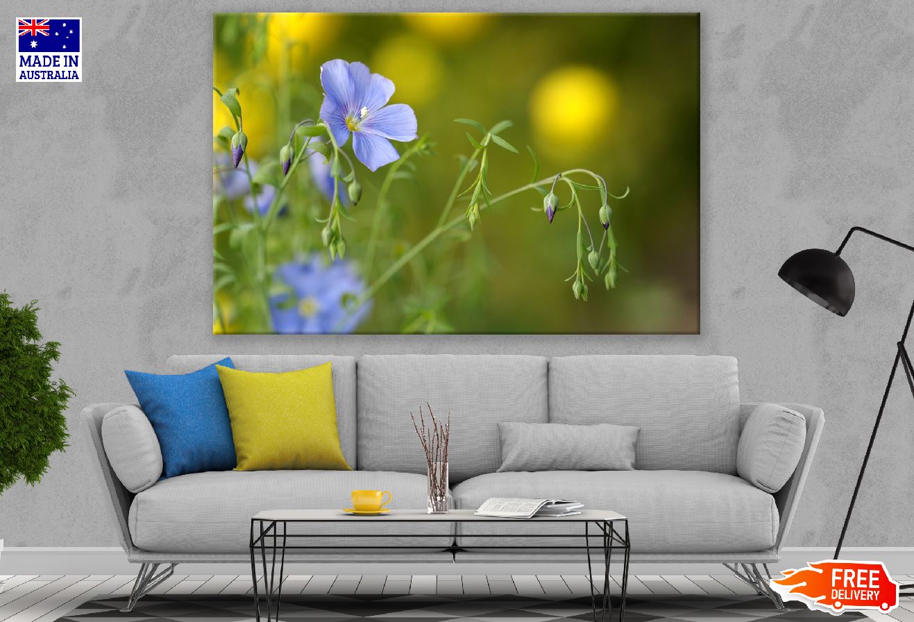 Blue Flax Flower Closeup Photograph Print 100% Australian Made