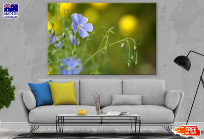 Blue Flax Flower Closeup Photograph Print 100% Australian Made