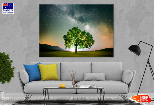 Lonely Tree on Field Under Galaxy Photograph Print 100% Australian Made