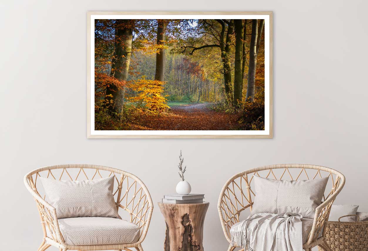Autumn Forest Footpath Way View Photograph Home Decor Premium Quality Poster Print Choose Your Sizes