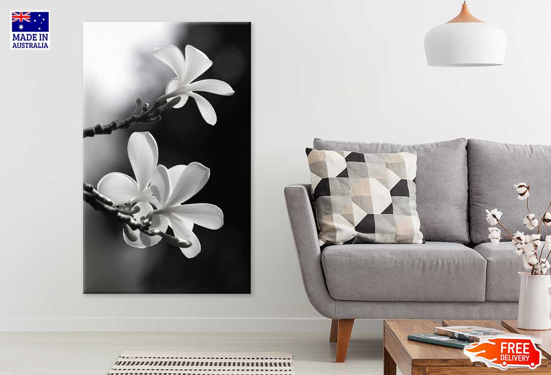 Frangipani Flowers on Tree B&W Photograph Print 100% Australian Made