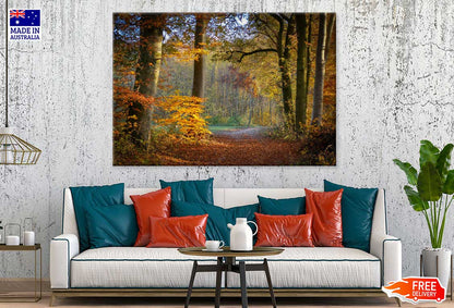 Autumn Forest Footpath Way View Photograph Print 100% Australian Made