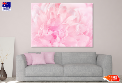 Pink Flower Macro Closeup View Photograph Print 100% Australian Made