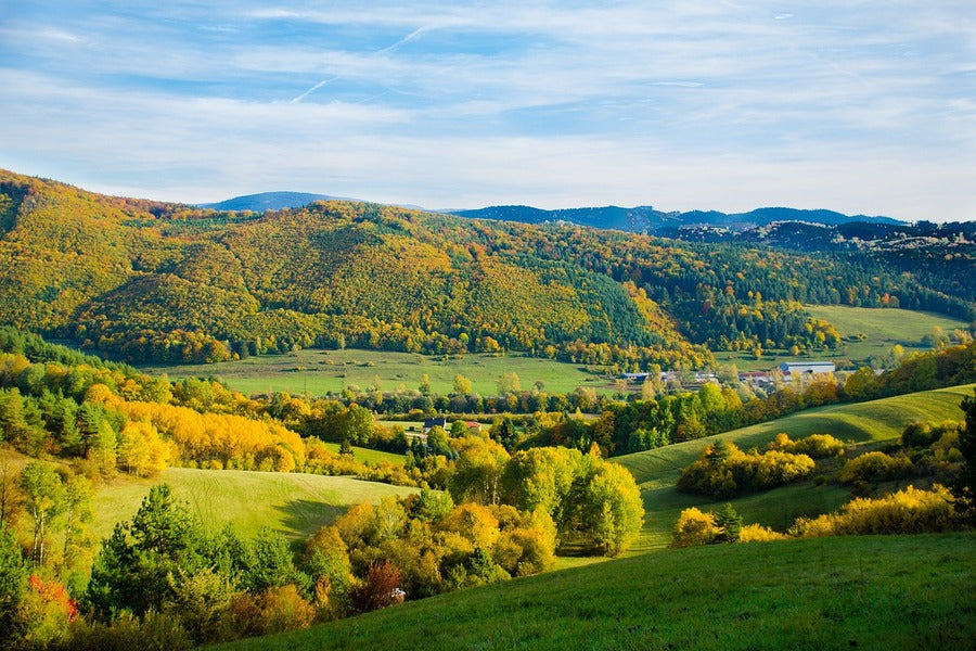 Autumn Forest Mountain view Photograph Print 100% Australian Made