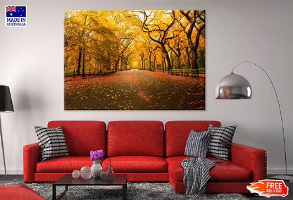 Autumn Trees Covered Road View Photograph Print 100% Australian Made