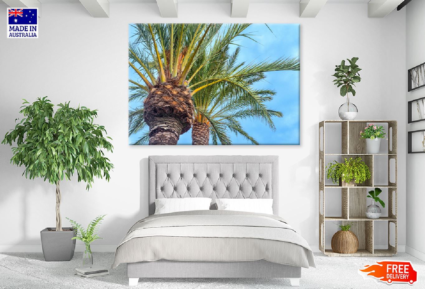 Spanish Palm Tree with Blue Sky Photograph Print 100% Australian Made