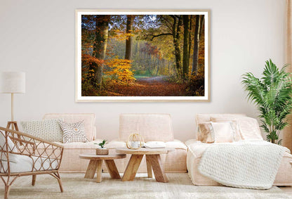 Autumn Forest Footpath Way View Photograph Home Decor Premium Quality Poster Print Choose Your Sizes