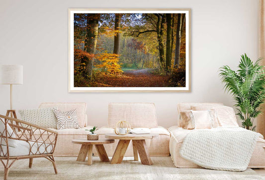 Autumn Forest Footpath Way View Photograph Home Decor Premium Quality Poster Print Choose Your Sizes