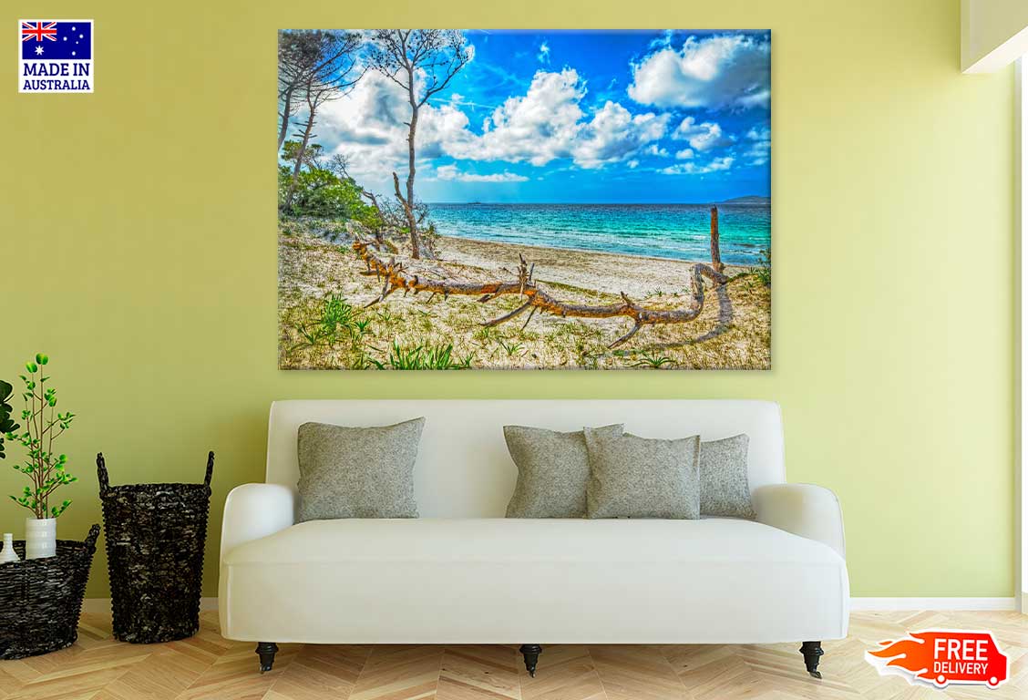 Tree Trunk in Maria Pia Beach Photograph Print 100% Australian Made