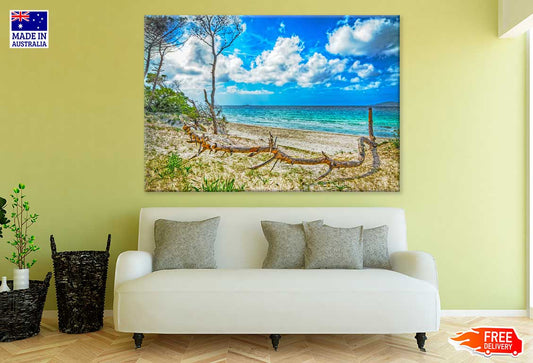 Tree Trunk in Maria Pia Beach Photograph Print 100% Australian Made