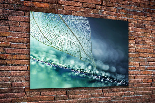 Blue Xray Leaf Digital Print Tempered Glass Wall Art 100% Made in Australia Ready to Hang