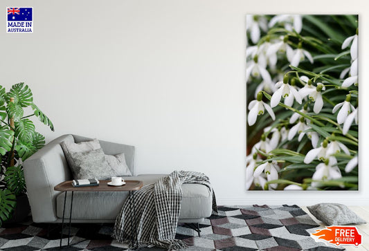 Snowdrop Flowers Closeup Photograph Print 100% Australian Made