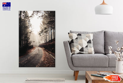 Old Road Surrounded by Tall Trees Photograph Print 100% Australian Made