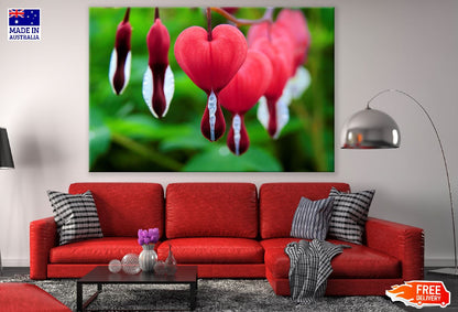 Red Bleeding Heart Flowers Closeup Photograph Print 100% Australian Made