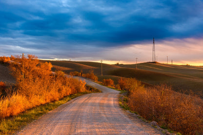 Tuscan Countryside Road Autumn Photograph Print 100% Australian Made