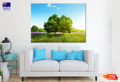 Trees on Grass Field Sky View Photograph Print 100% Australian Made