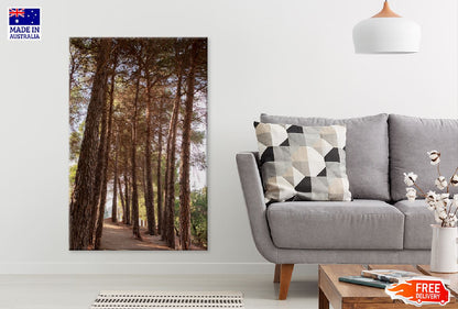 Tall Trees Forest View Photograph Print 100% Australian Made