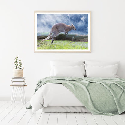 Kangaroo Running Photograph Home Decor Premium Quality Poster Print Choose Your Sizes