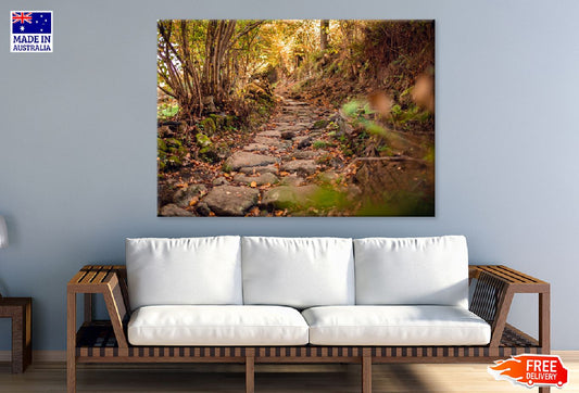 Walk Roman Road Forest View Photograph Print 100% Australian Made