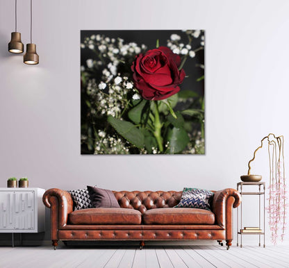 Square Canvas Red Rose with Leaves View Photograph High Quality Print 100% Australian Made