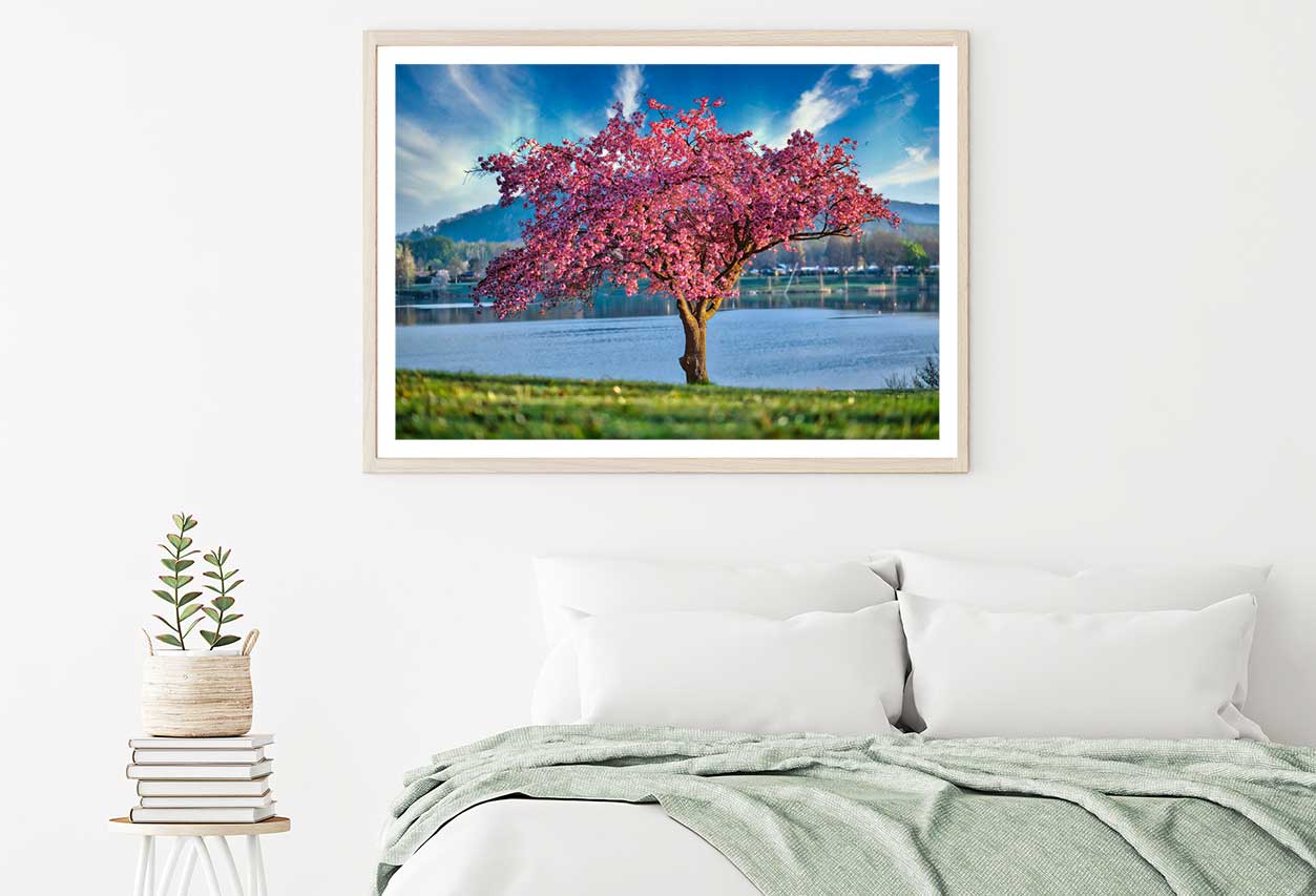 Pink Blossom Tree near Lake View Photograph Home Decor Premium Quality Poster Print Choose Your Sizes
