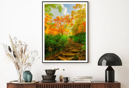 Autumn Trees Pathway Scenery View Home Decor Premium Quality Poster Print Choose Your Sizes