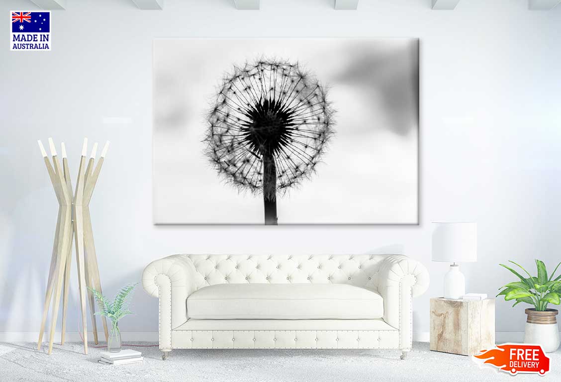 Dandelion Under Sky B&W View Photograph Print 100% Australian Made