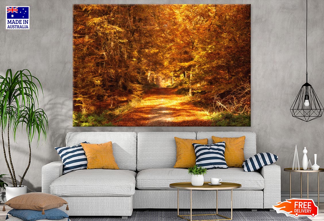 Road in Autumn Forest Photograph Print 100% Australian Made