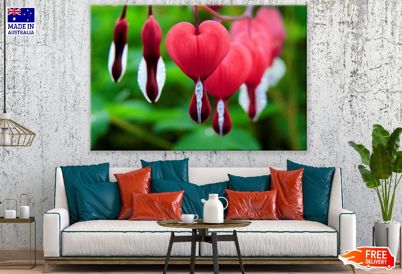 Red Bleeding Heart Flowers Closeup Photograph Print 100% Australian Made