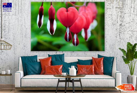 Red Bleeding Heart Flowers Closeup Photograph Print 100% Australian Made