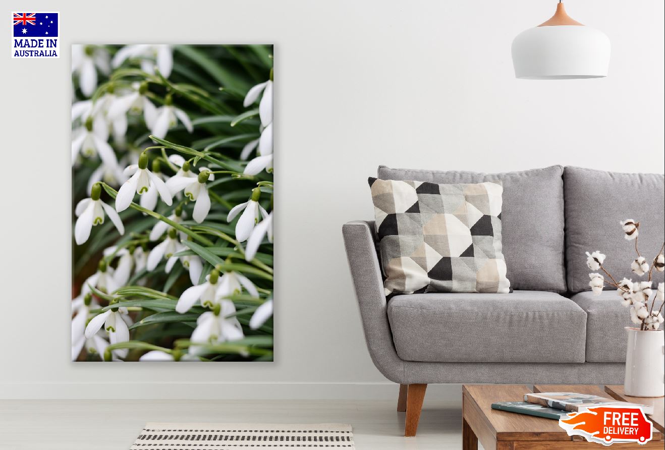 Snowdrop Flowers Closeup Photograph Print 100% Australian Made