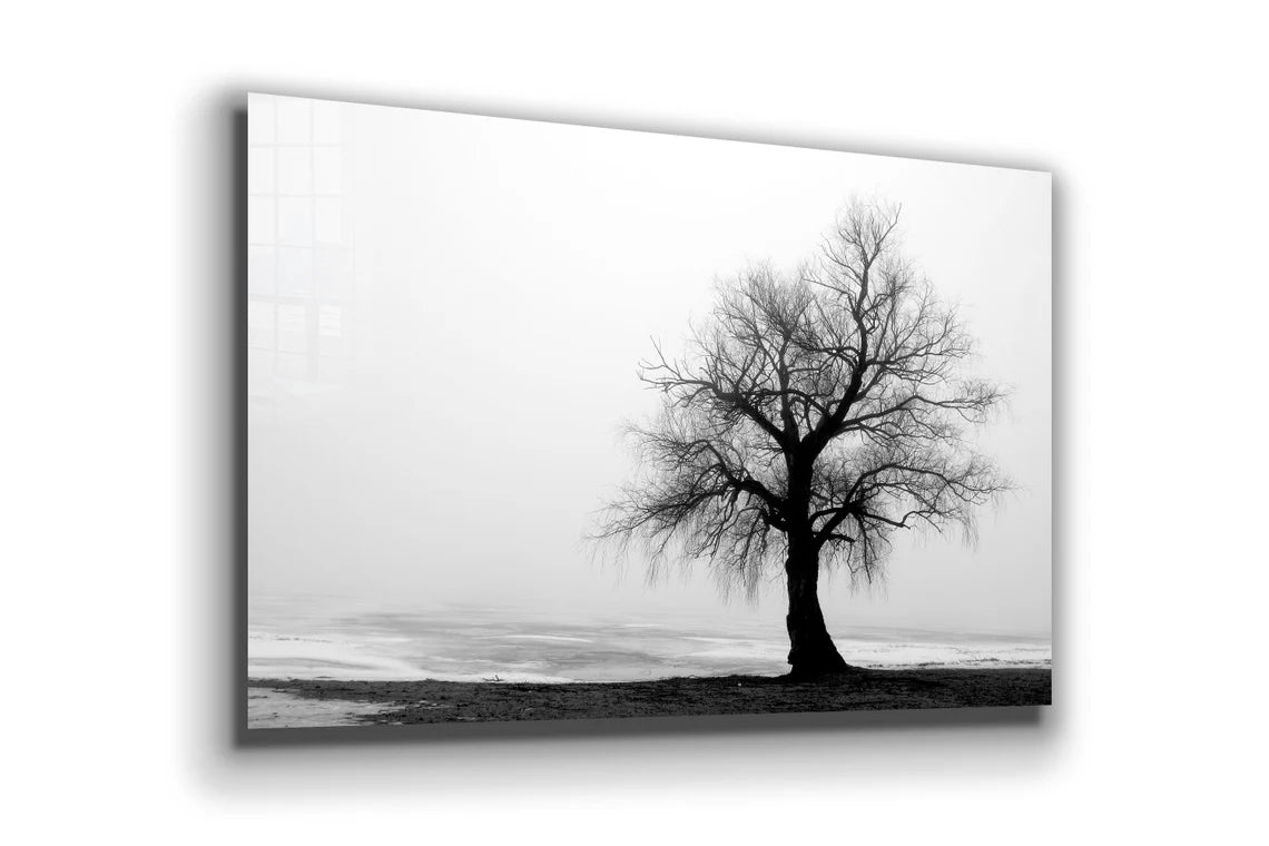 Alone Tree B&W View Print Tempered Glass Wall Art 100% Made in Australia Ready to Hang