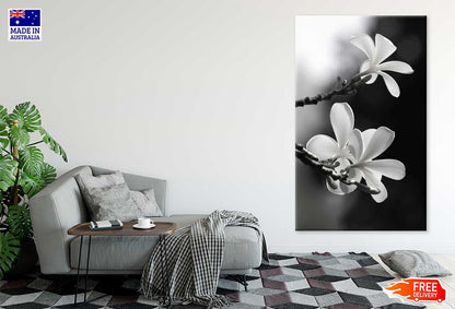 Frangipani Flowers on Tree B&W Photograph Print 100% Australian Made