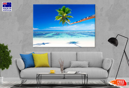 Palm Tree on Samoa Beach View Photograph Print 100% Australian Made