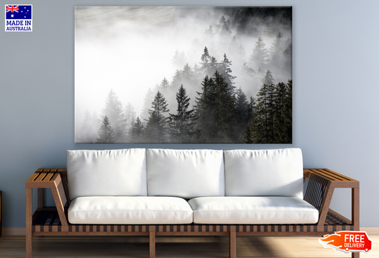 Misty Forest Photograph Print 100% Australian Made