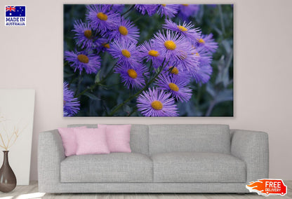 Purple Aster Flowers Photograph Print 100% Australian Made