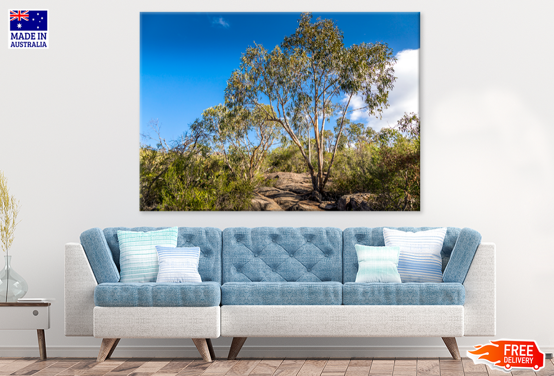 Rocks With Trees & Forest View Print 100% Australian Made