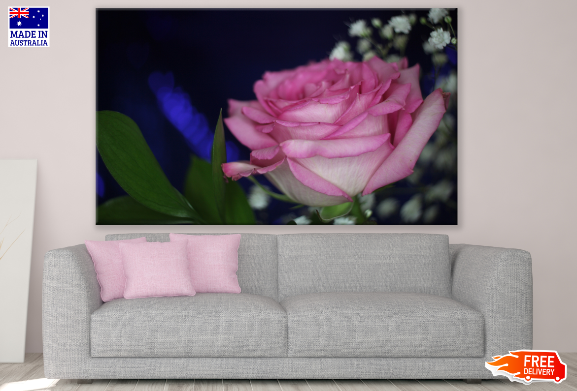 Rose Flower Close up Photograph Print 100% Australian Made