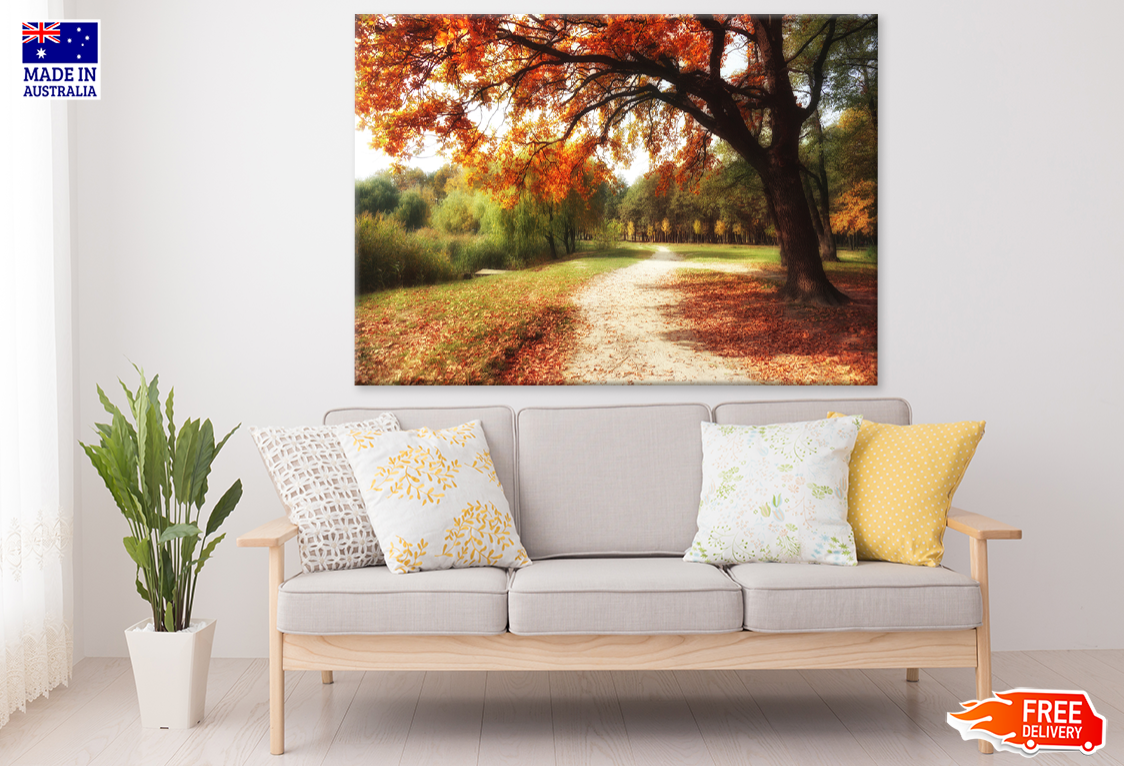 Autumn Trees & Walking Path View Print 100% Australian Made