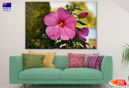 Pink Hibiscus Flower Closeup Photograph Print 100% Australian Made
