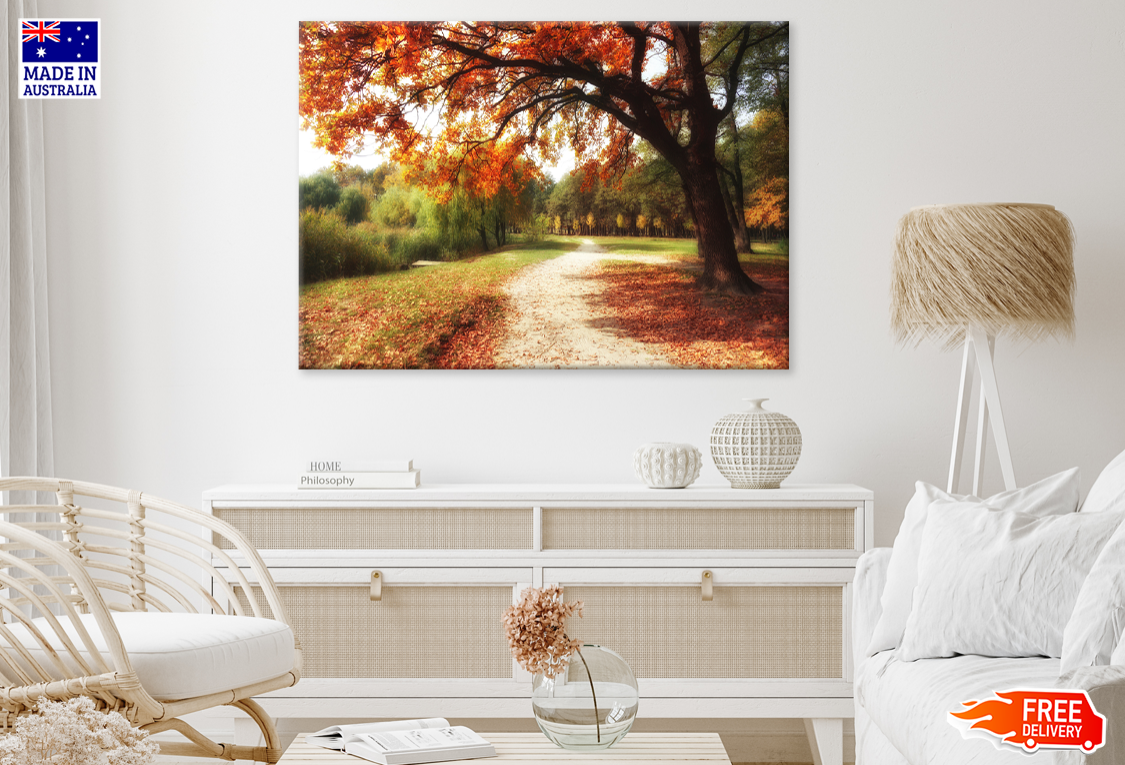 Autumn Trees & Walking Path View Print 100% Australian Made