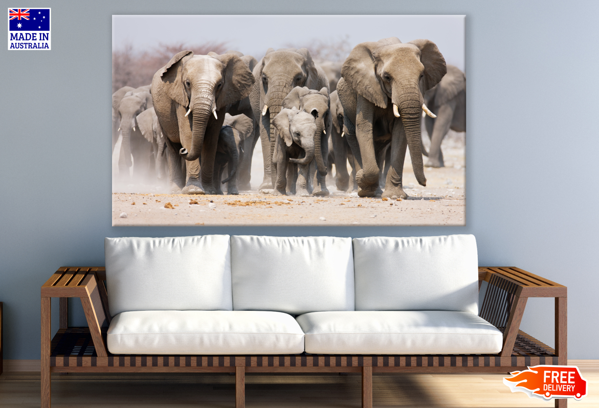 Elephant Herd Walking Photograph Print 100% Australian Made