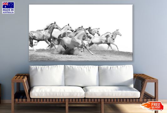 Horses Running on Sand Photograph Print 100% Australian Made