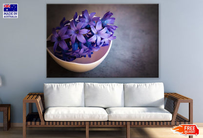 Purple Hyacinths Flower in Pot Photograph Print 100% Australian Made