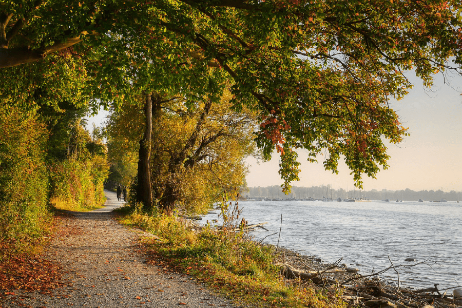 Autumn Avenue Nature Roads Trees & Lake Photograph Print 100% Australian Made