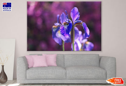 Purple Iris Flower Closeup Photograph Print 100% Australian Made