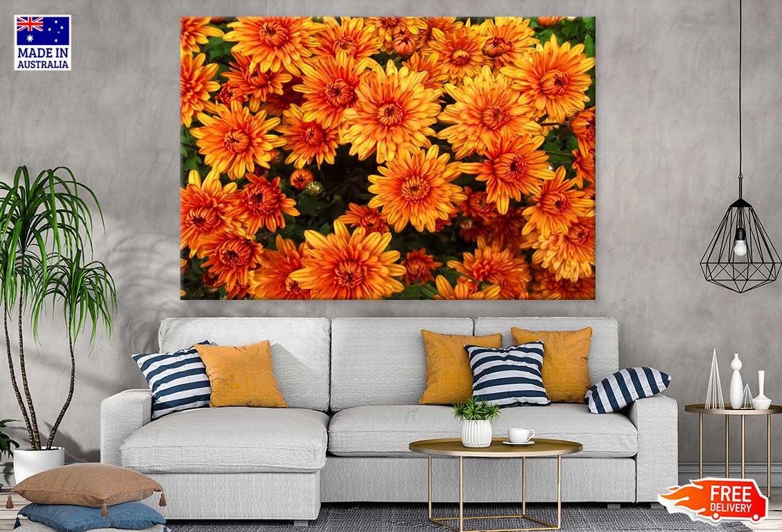 Orange Chrysanthemum Flowers View Photograph Print 100% Australian Made